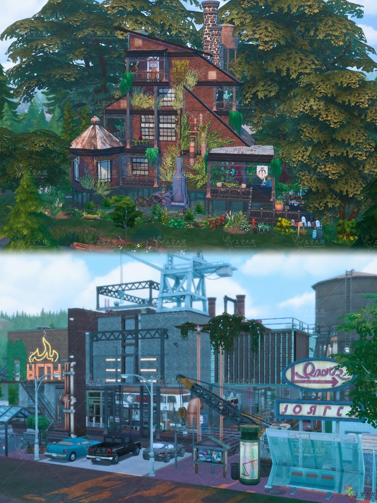 31.jpg