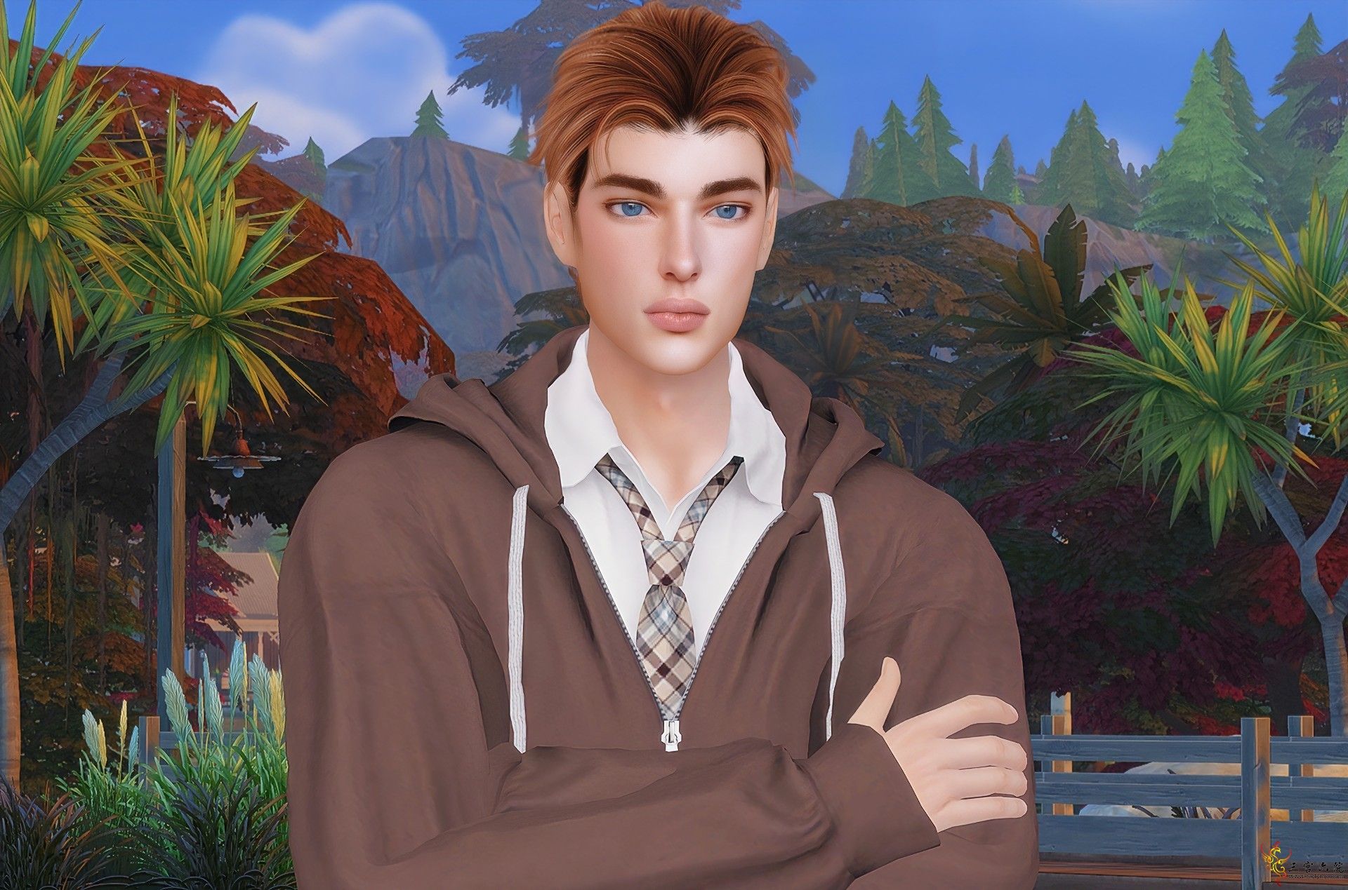 5.png