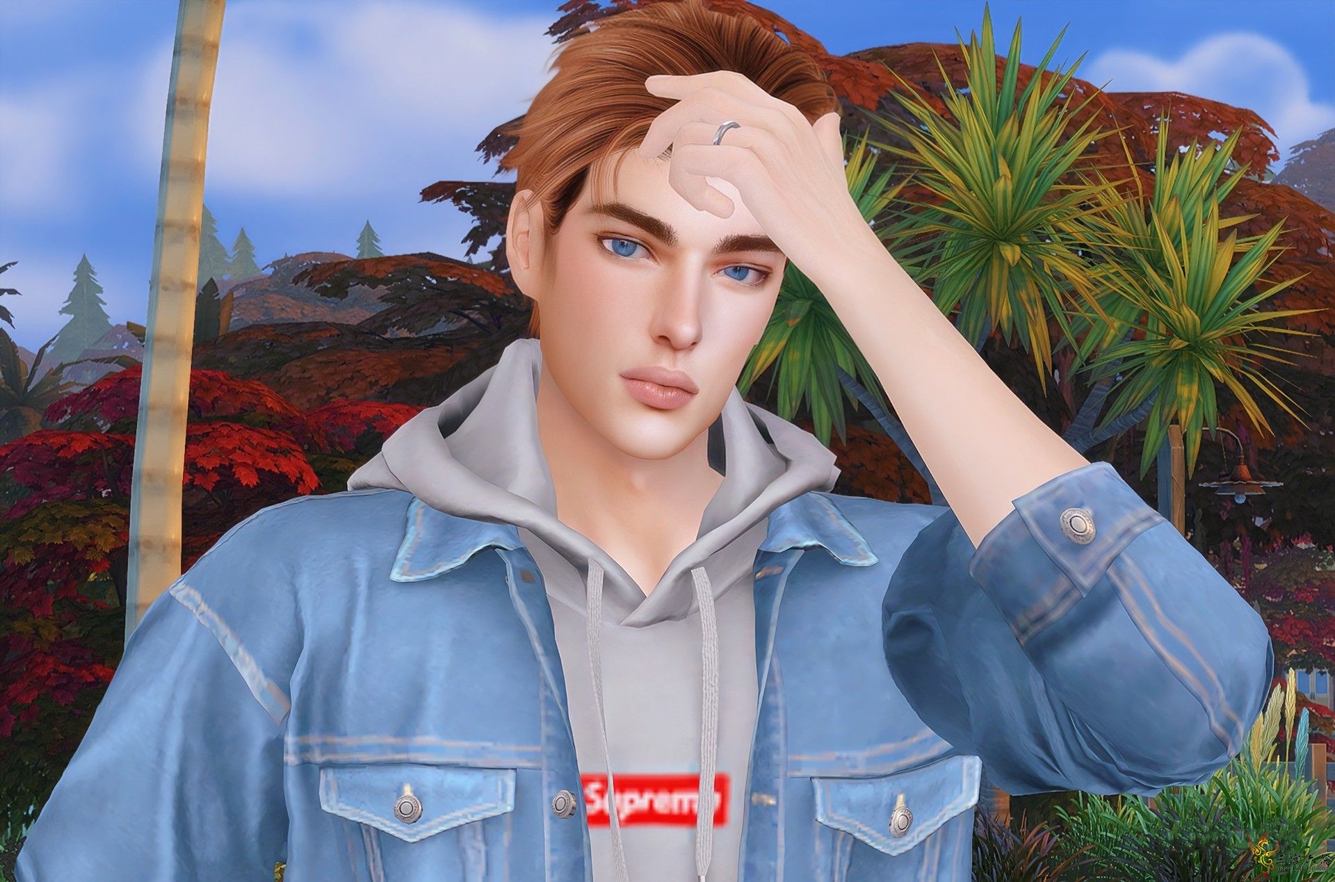 9.png