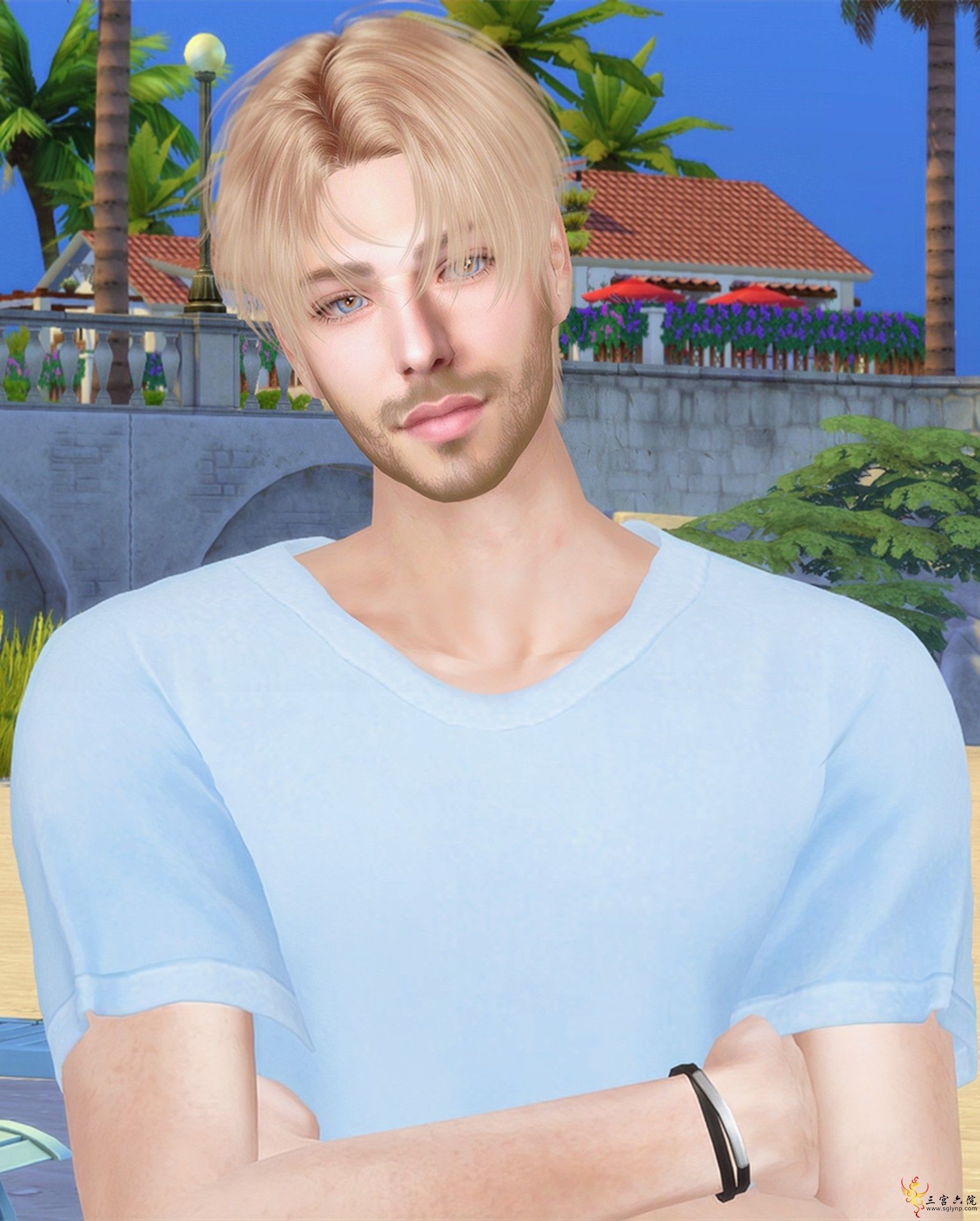 5.png