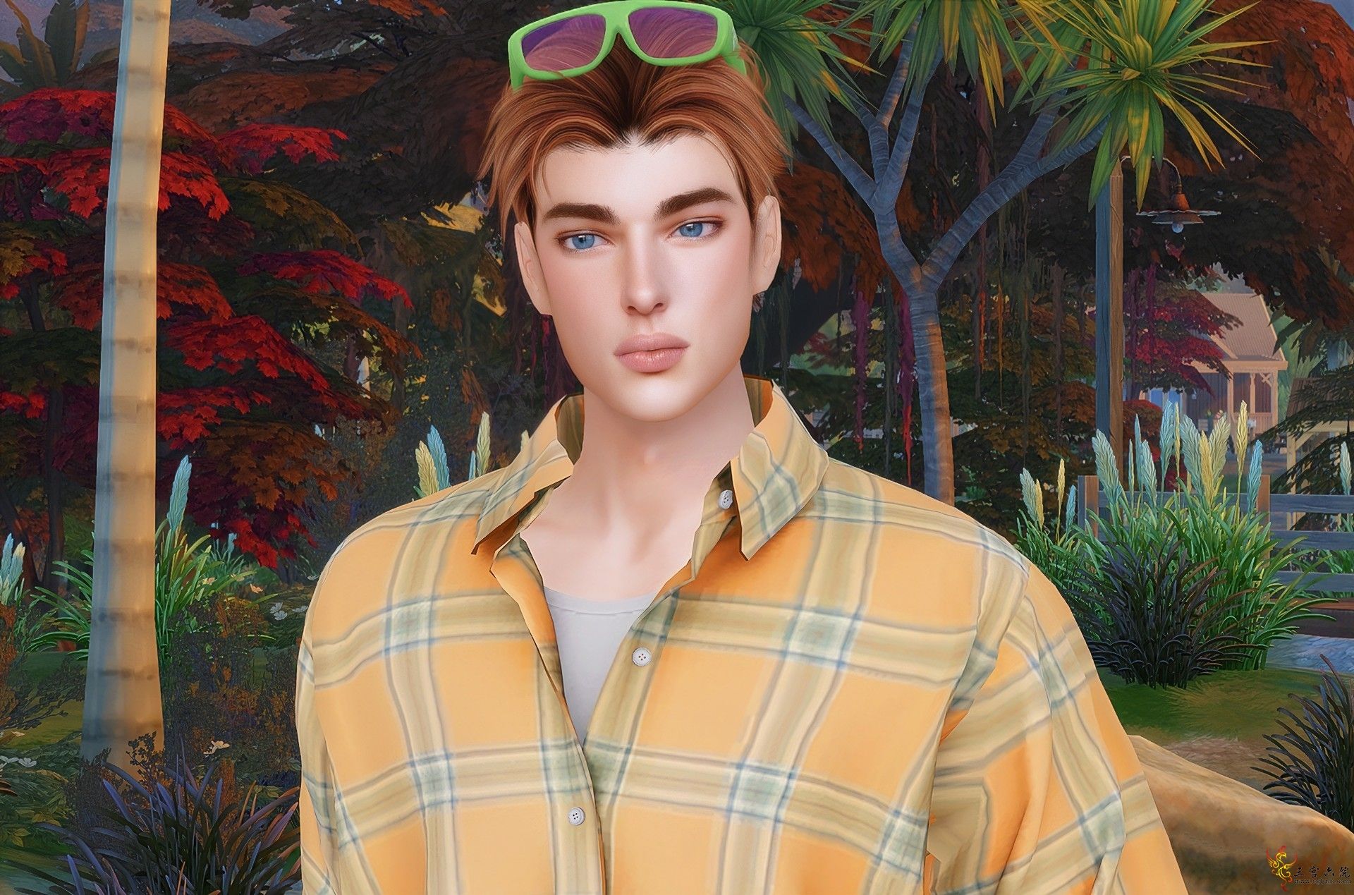 6.png