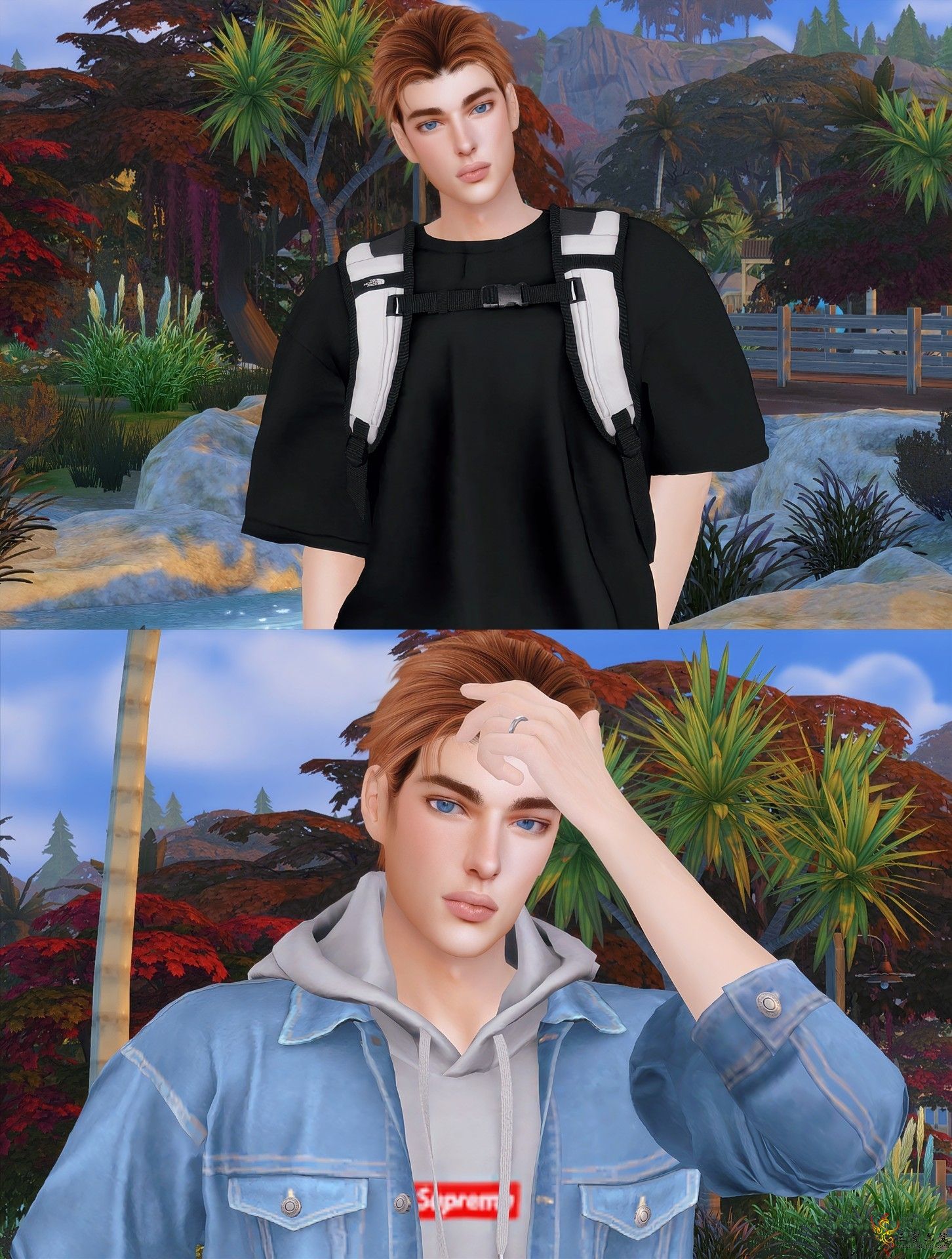 3A.png