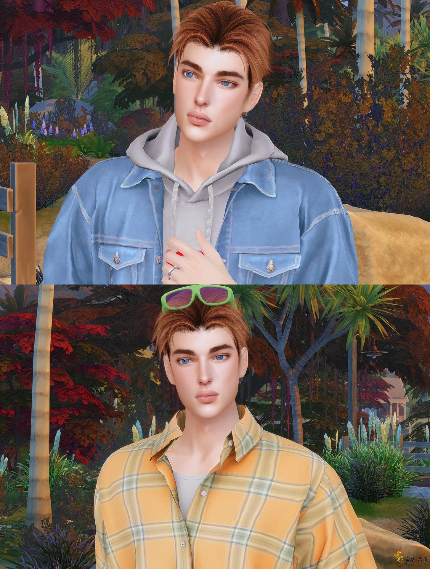 3B.png