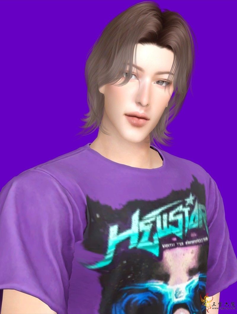 2A.png